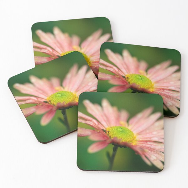 Item preview, Beautiful daisy on green background designed and sold by olena2552.