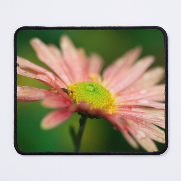 Item preview, Beautiful daisy on green background designed and sold by olena2552.