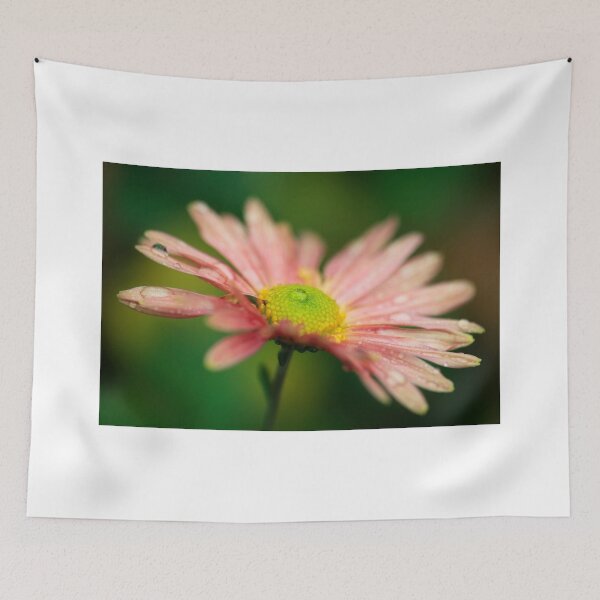 Item preview, Beautiful daisy on green background designed and sold by olena2552.