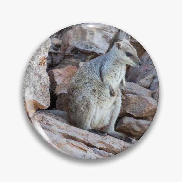 Item preview, Australian Rock Wallaby designed and sold by johkar-photos.