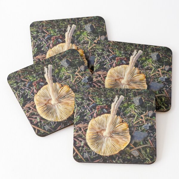 Item preview, Toppled By Wind designed and sold by Steve Walser.