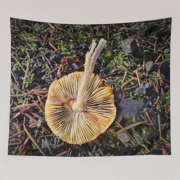 Item preview, Toppled By Wind designed and sold by Steve Walser.