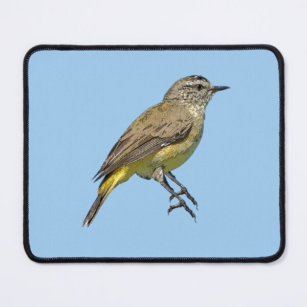 Item preview, Yellow-rumped Thornbill Color Design designed and sold by designsasstultd.