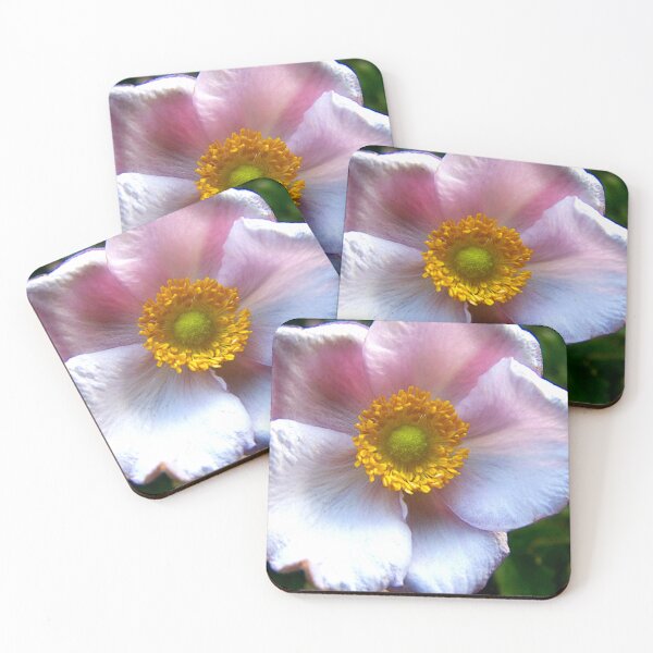 Item preview, Anemone designed and sold by Benedikt Amrhein.