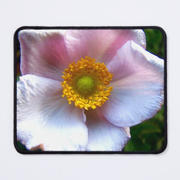 Item preview, Anemone designed and sold by Benedikt Amrhein.