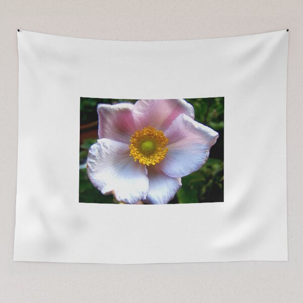 Item preview, Anemone designed and sold by Benedikt Amrhein.