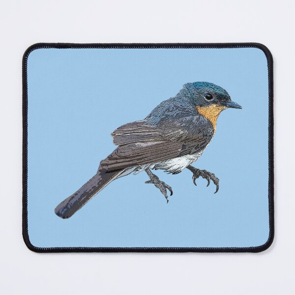 Item preview, Satin Flycatcher Color Design  designed and sold by designsasstultd.