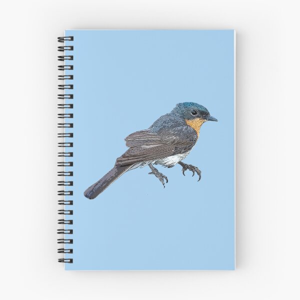 Item preview, Satin Flycatcher Color Design  designed and sold by designsasstultd.
