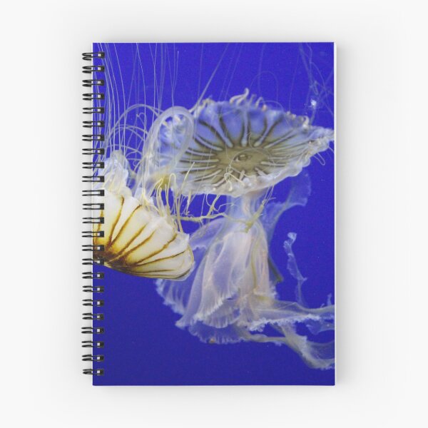 Item preview, Jellyfish designed and sold by Naoswestvillage.