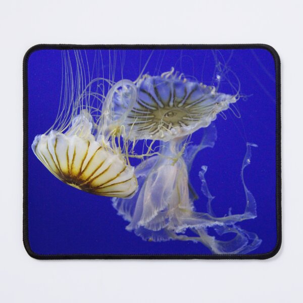 Item preview, Jellyfish designed and sold by Naoswestvillage.