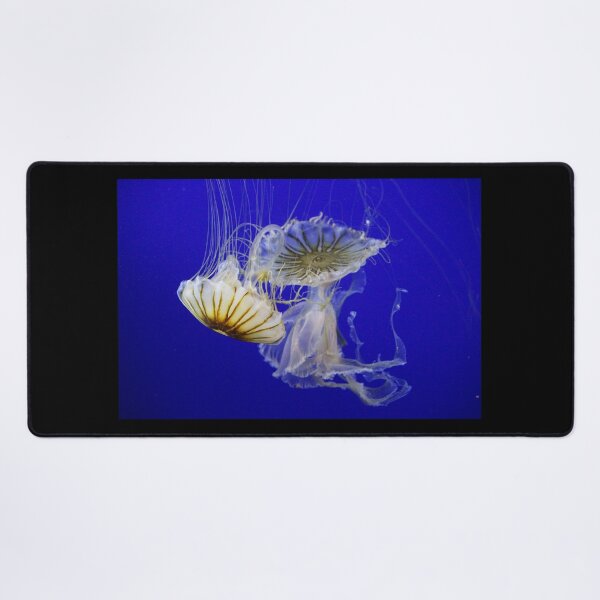 Item preview, Jellyfish designed and sold by Naoswestvillage.