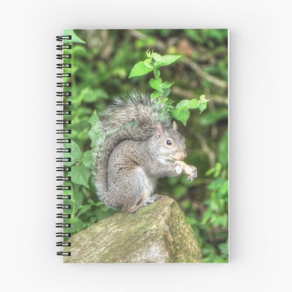 Item preview, Squirrel Eating a Peanut designed and sold by Frankie Cat Photography.