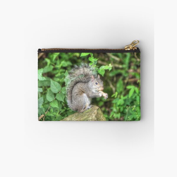 Item preview, Squirrel Eating a Peanut designed and sold by Frankie Cat Photography.