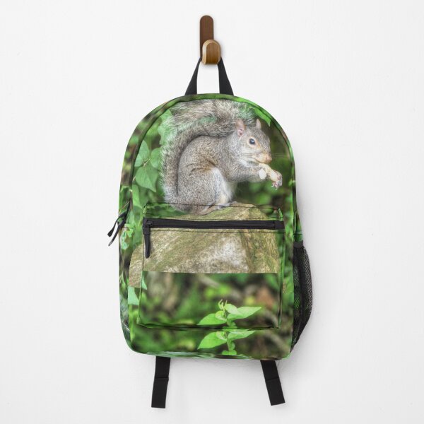 Item preview, Squirrel Eating a Peanut designed and sold by Frankie Cat Photography.