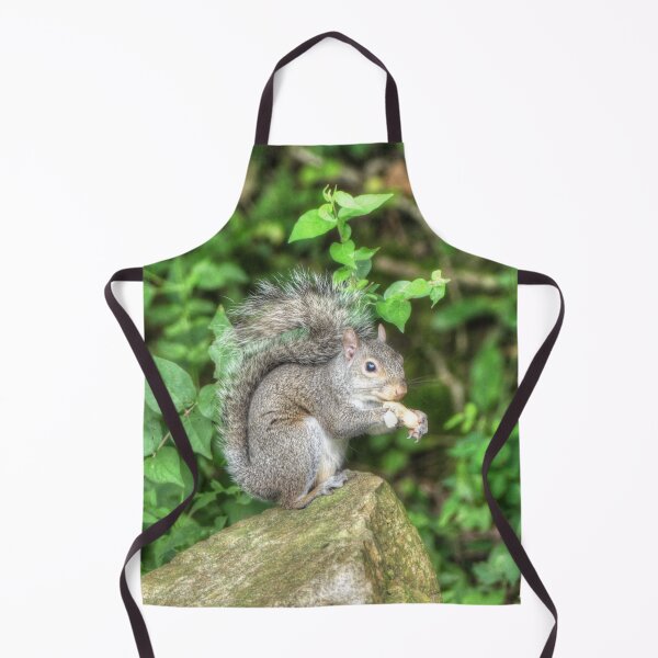 Item preview, Squirrel Eating a Peanut designed and sold by Frankie Cat Photography.
