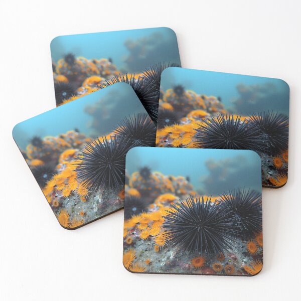 Item preview, Marine - Sea Urchins designed and sold by KootenayDesigns.