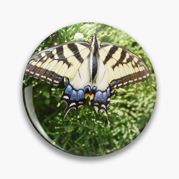 Item preview, tiger swallotail on juniper designed and sold by distracted.