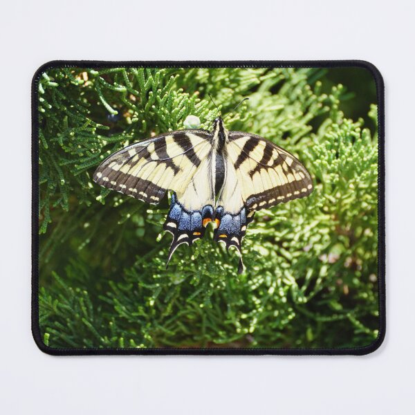 Item preview, tiger swallotail on juniper designed and sold by distracted.