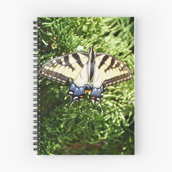 Item preview, tiger swallotail on juniper designed and sold by distracted.