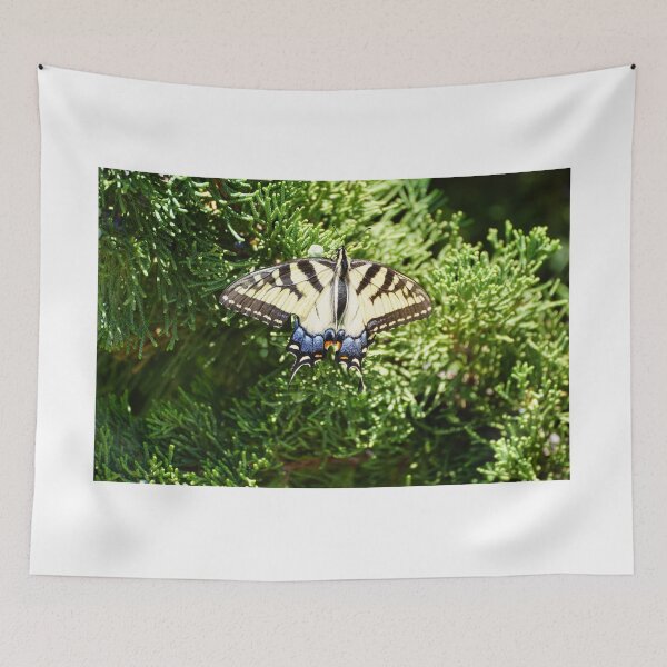 Item preview, tiger swallotail on juniper designed and sold by distracted.
