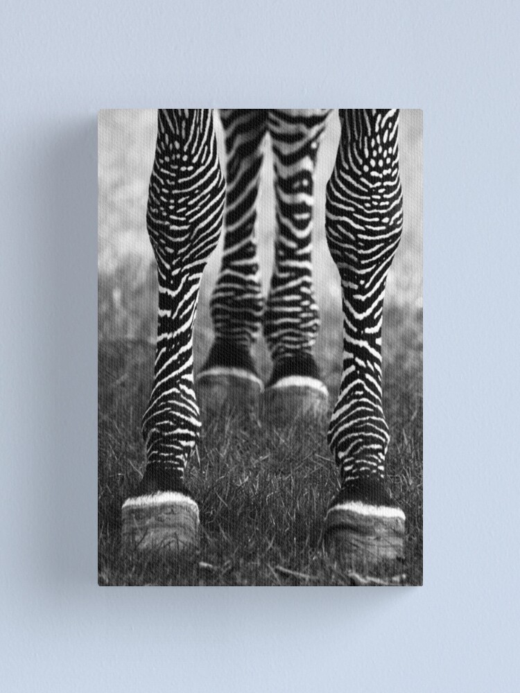 Alternate view of Zeb Legs Canvas Print
