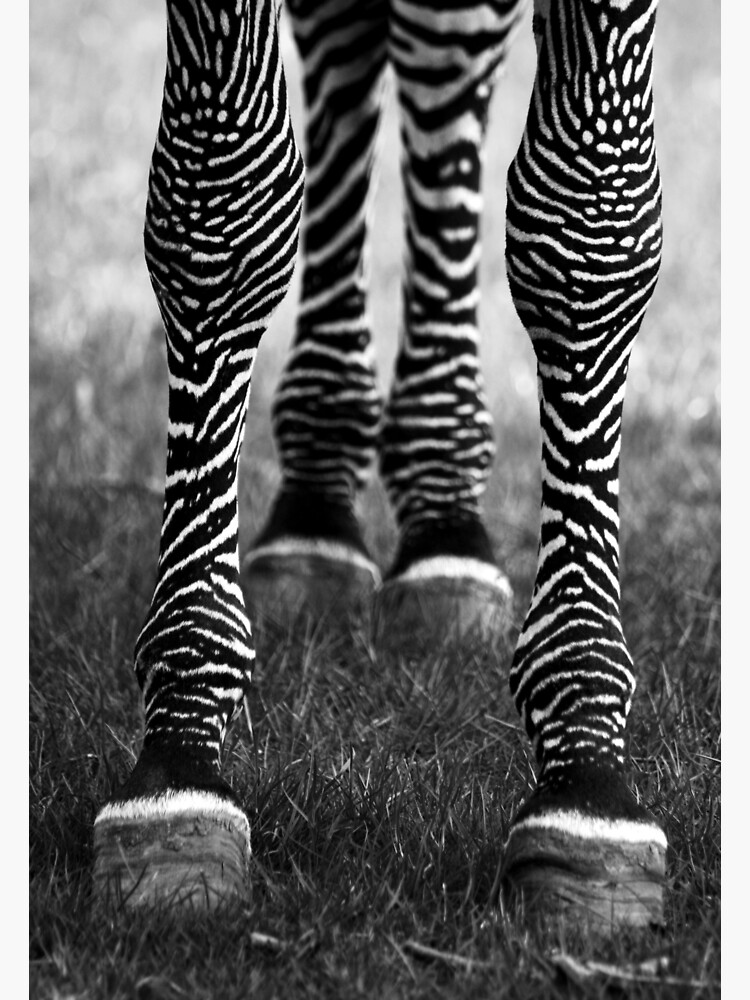 Zeb Legs by hfaulkner