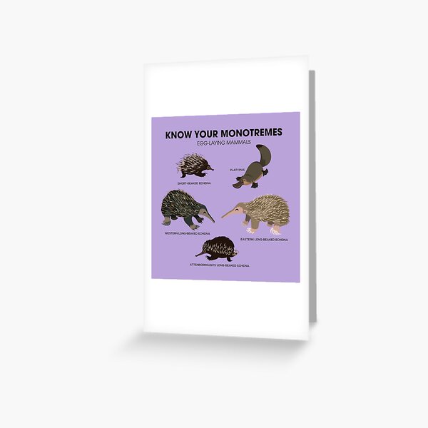 Know Your Monotremes Greeting Card