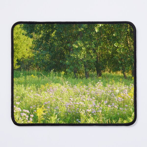 Item preview, Wisconsin summer bliss designed and sold by distracted.