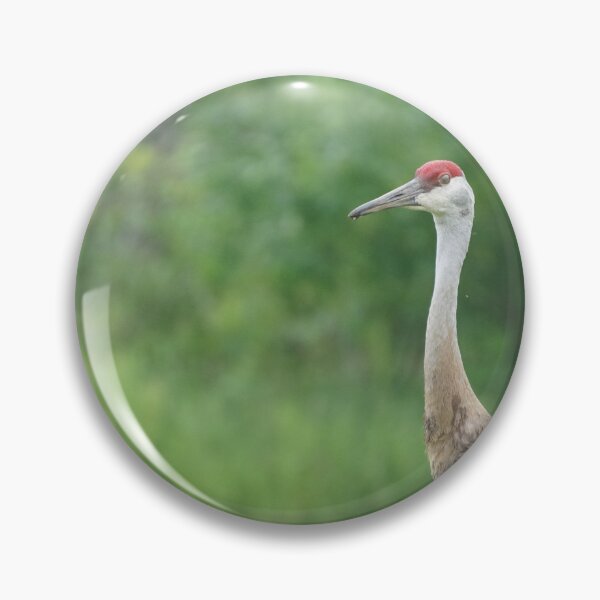 Item preview, sandhill cranes  designed and sold by distracted.