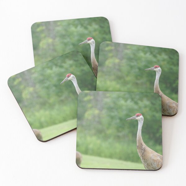 Item preview, sandhill cranes  designed and sold by distracted.