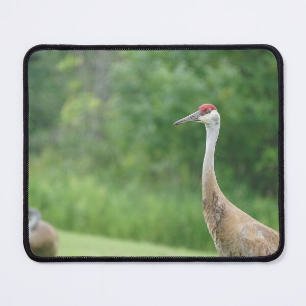 Item preview, sandhill cranes  designed and sold by distracted.