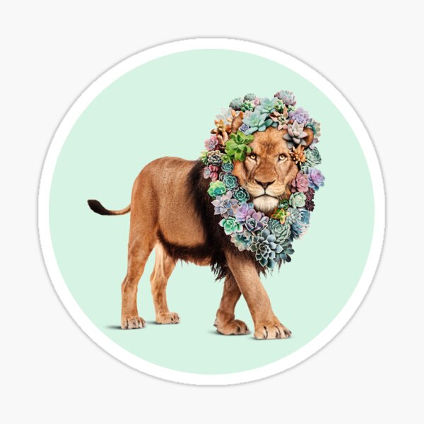 SUKKULENTEN LÖWE Sticker
