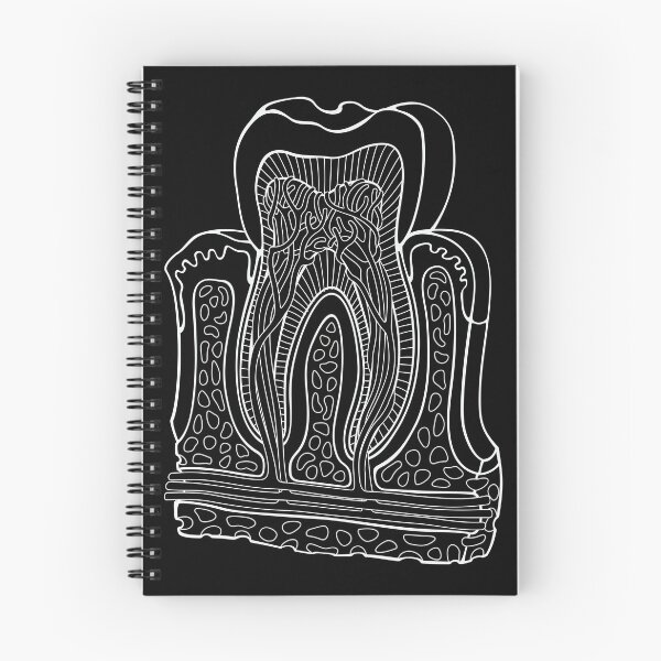 Item preview, Human Tooth Anatomy White Line Drawing designed and sold by taylorcustom.