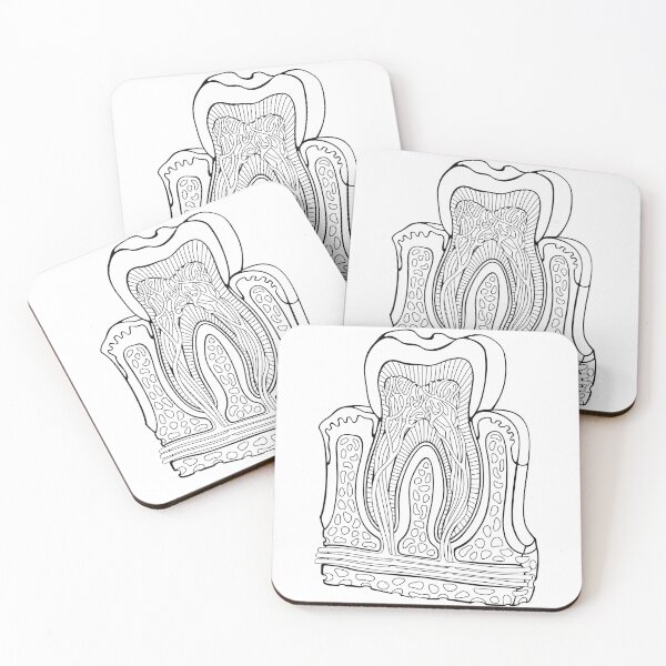 Item preview, Human Tooth Anatomy Line Drawing designed and sold by taylorcustom.