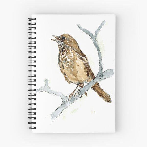 Item preview, Hermit Thrush designed and sold by Barbara E Wyeth.