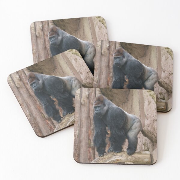 Item preview, Kidogo the Silverback Striking a Pose on a Log designed and sold by rawshutterbug.