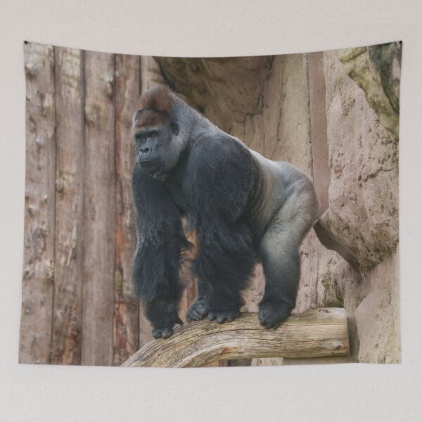 Item preview, Kidogo the Silverback Striking a Pose on a Log designed and sold by rawshutterbug.