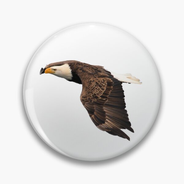 Item preview, Flight of the Eagle designed and sold by Whisperingpeaks.