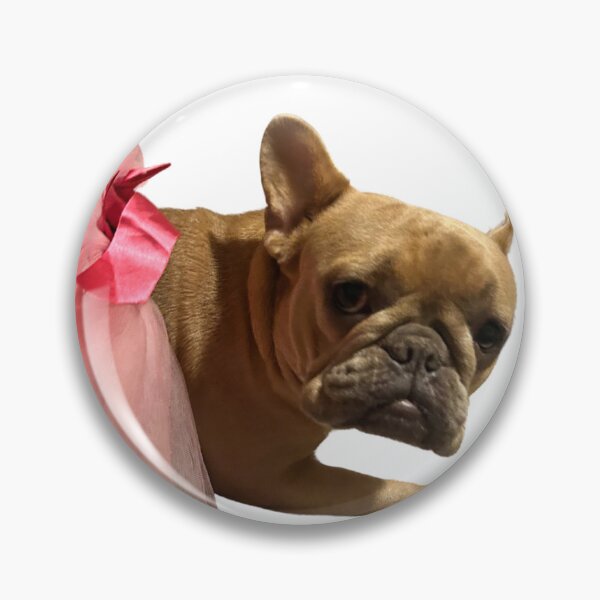 Item preview, We want chewy designed and sold by Jordywales.