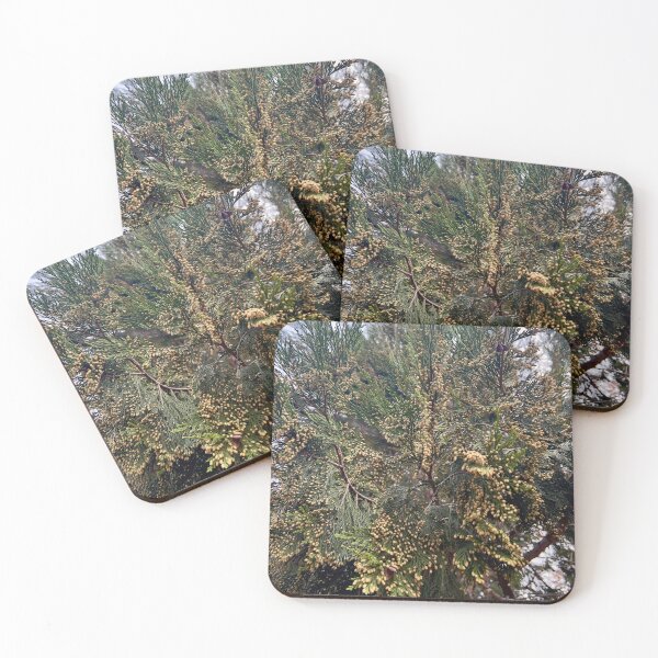 Item preview, California Incense-Cedar designed and sold by Betsy Phillips.