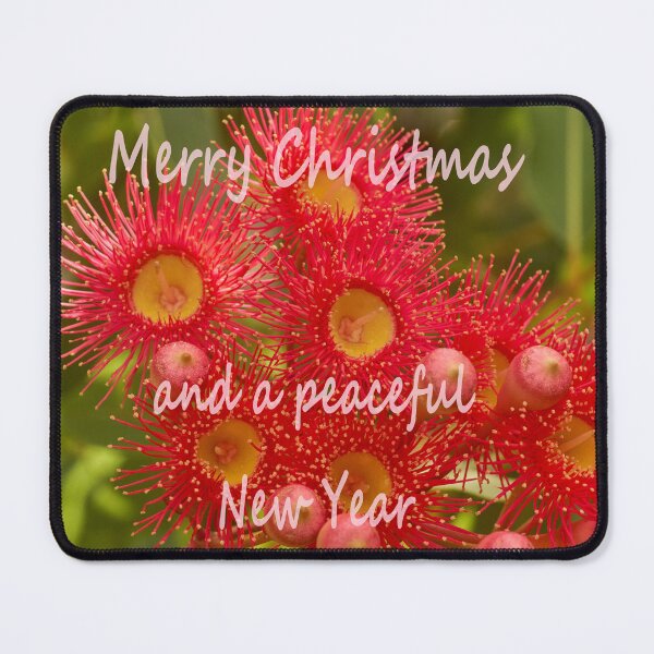 Item preview, A beautiful bottlebrush Christmas designed and sold by Mrtweety.