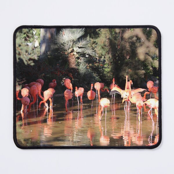 Item preview, Red Flamingos designed and sold by smh2.