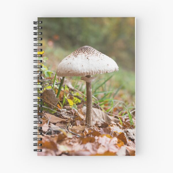 Item preview, White mushroom in fall designed and sold by StohlerPhotos.