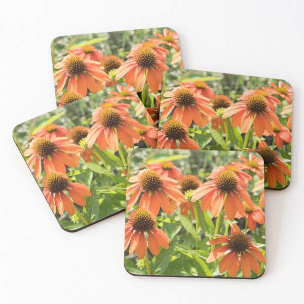 Item preview, Bold and Cheerful Orange Echinacea Coneflowers designed and sold by Georgia Mizuleva.