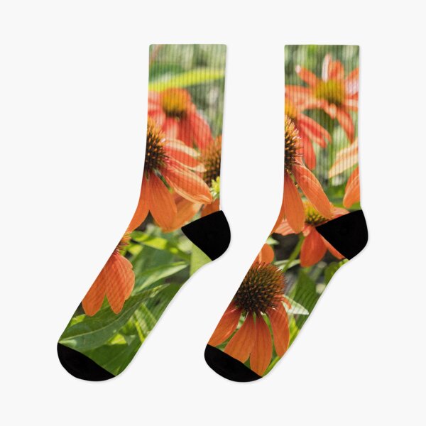 Item preview, Bold and Cheerful Orange Echinacea Coneflowers designed and sold by Georgia Mizuleva.