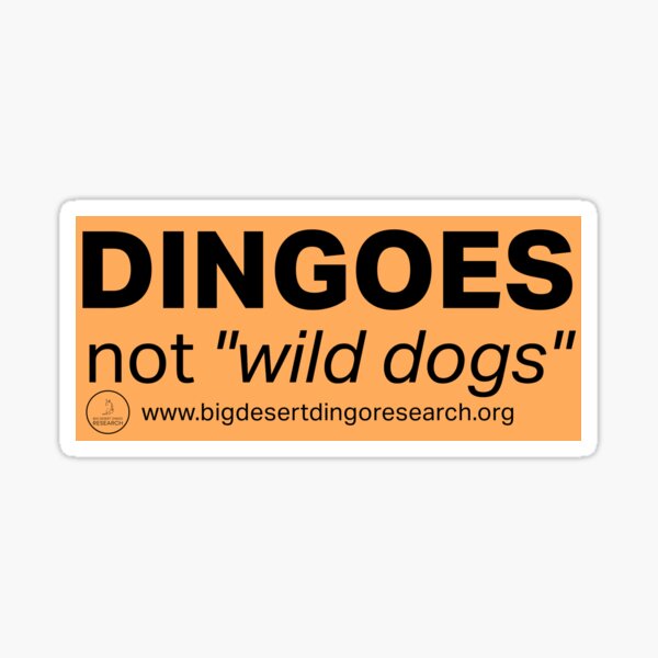 DINGOES not "wild dogs" - Orange Sticker