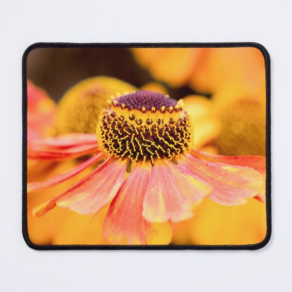 Item preview, Helenium Autumnale designed and sold by Tanya C Smith.