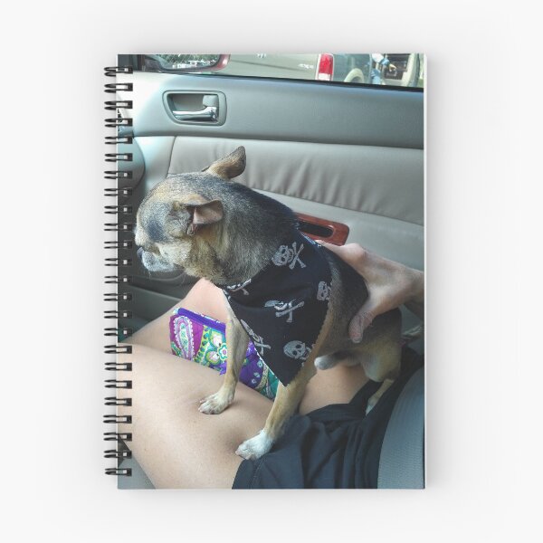 Item preview, Skyler designed and sold by Larrysphotos.