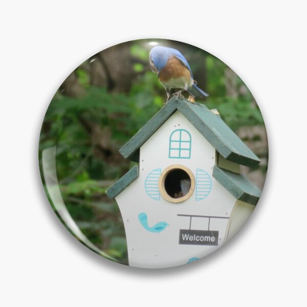 Item preview, Bluebird considering real estate  designed and sold by Larrysphotos.