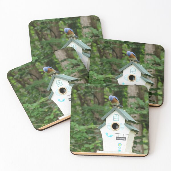 Item preview, Bluebird considering real estate  designed and sold by Larrysphotos.